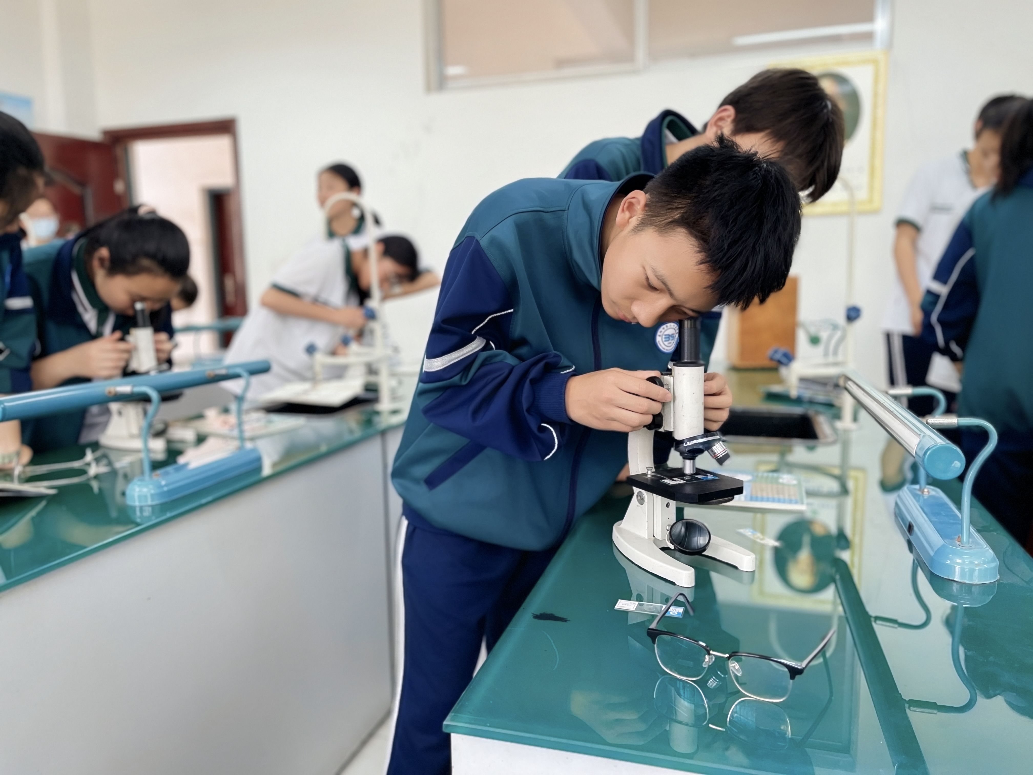 2025-04-16 生物实验