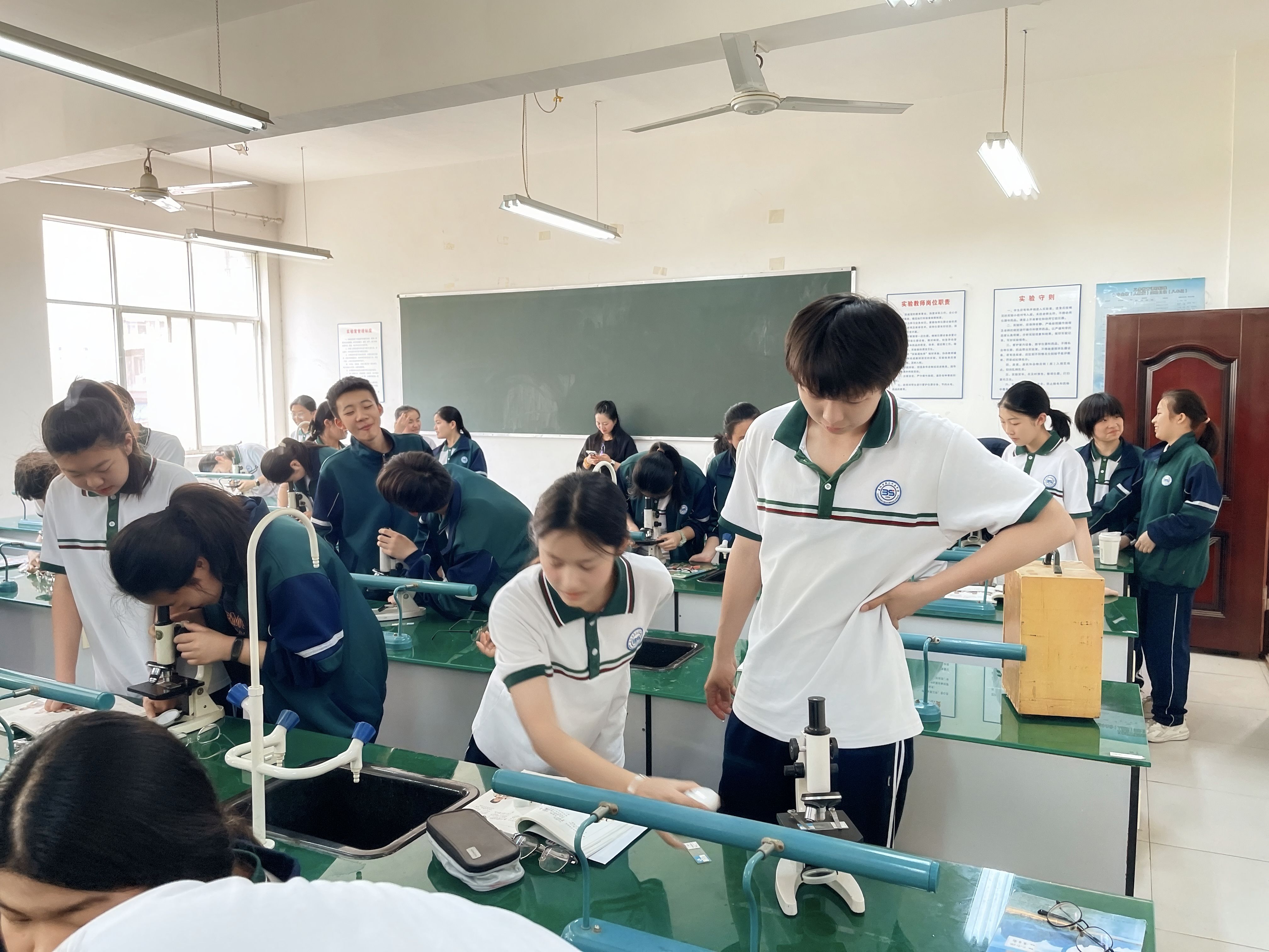 2025-04-16 生物实验