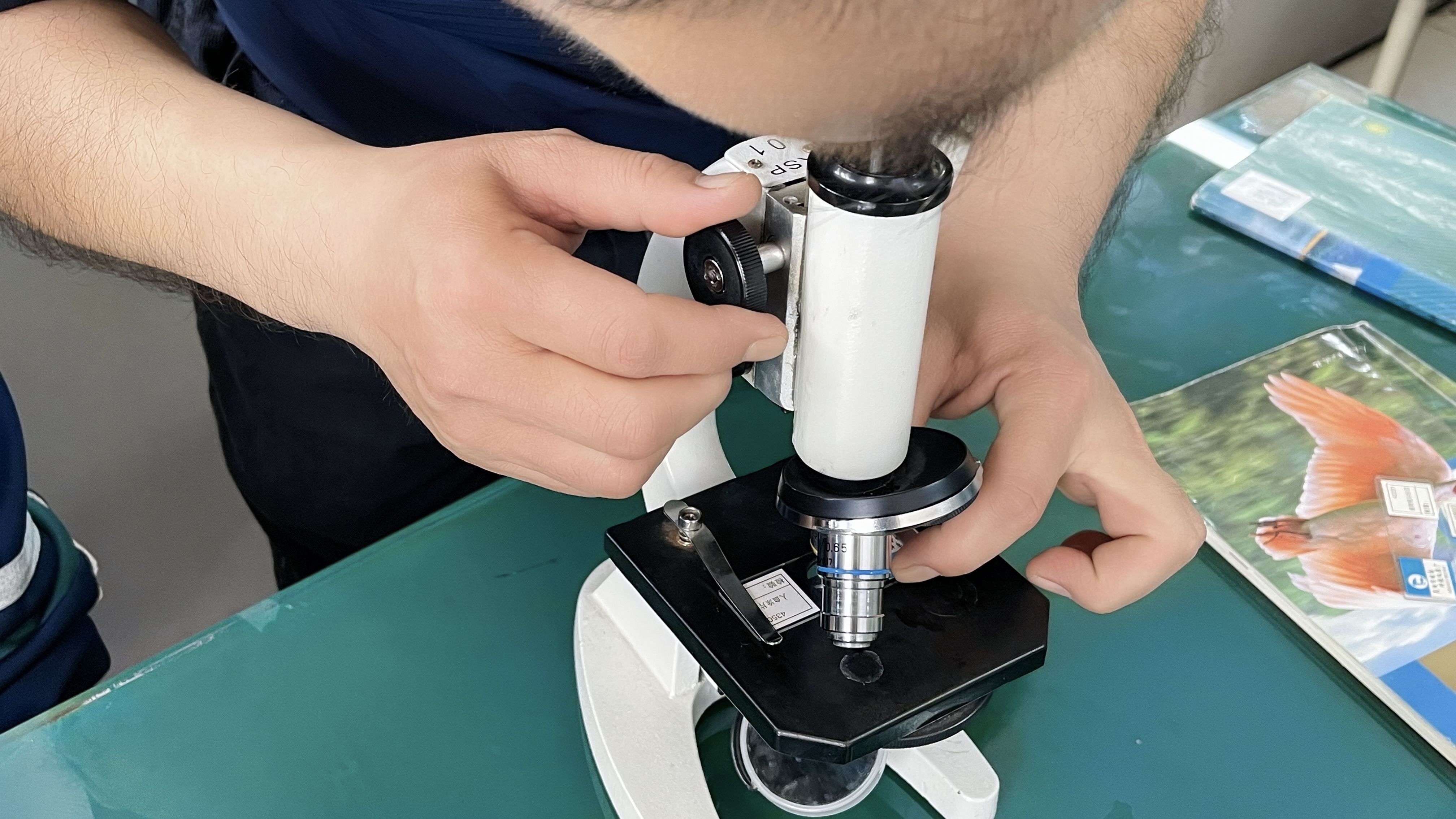2025-04-16 生物实验