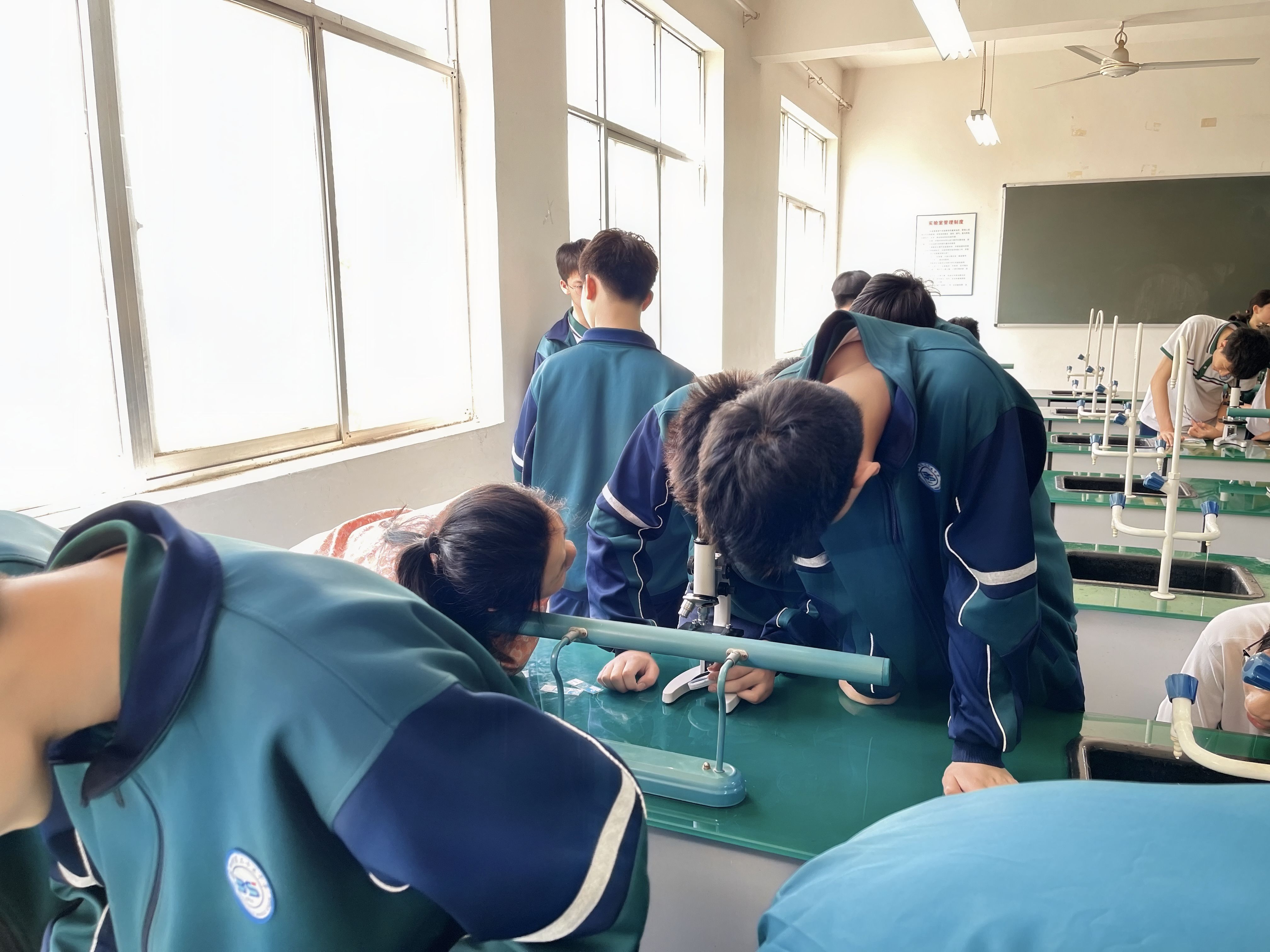 2025-04-16 生物实验