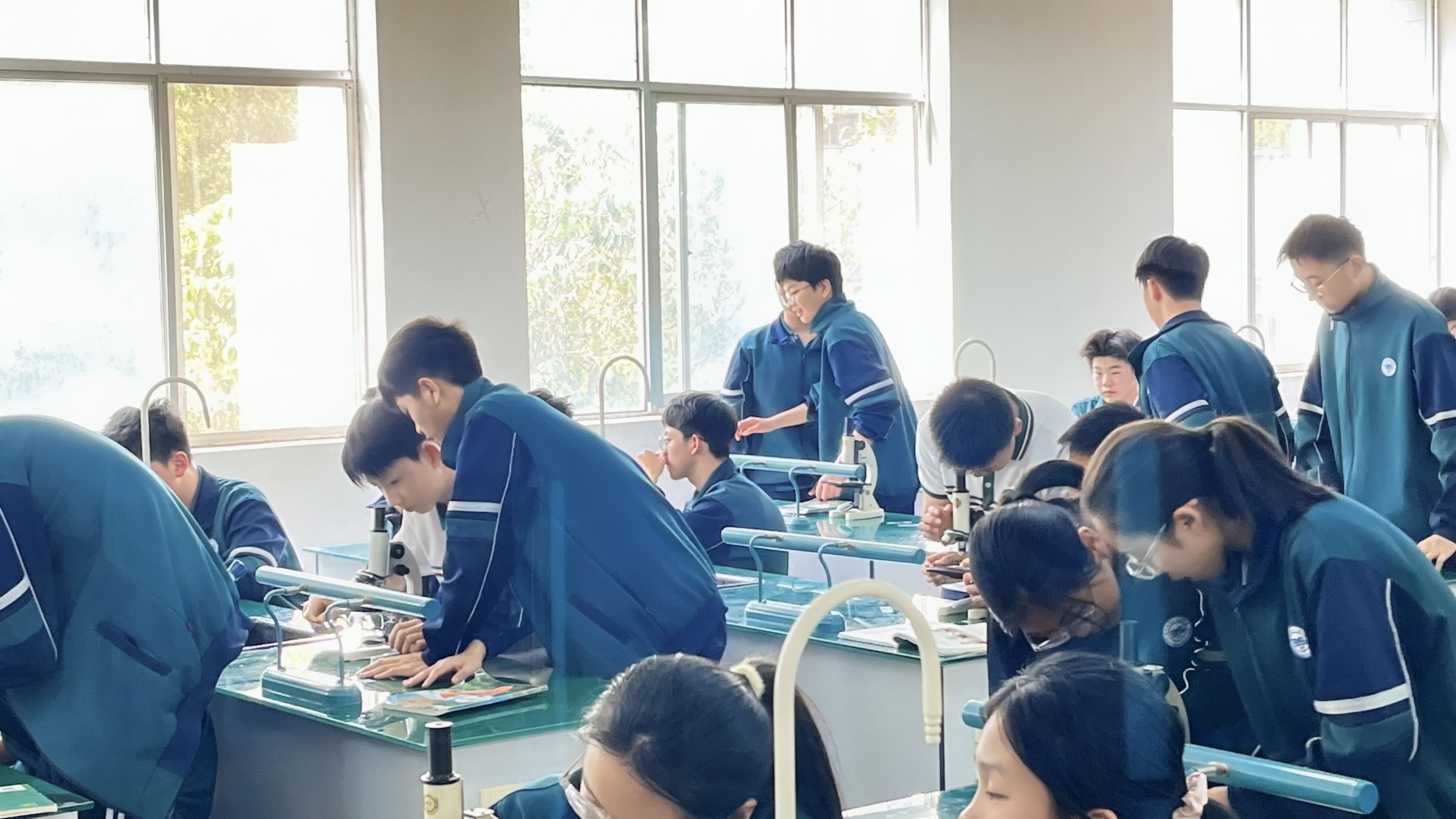 2025-04-16 生物实验